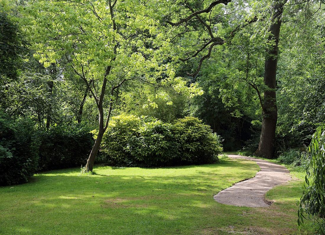 A garden path