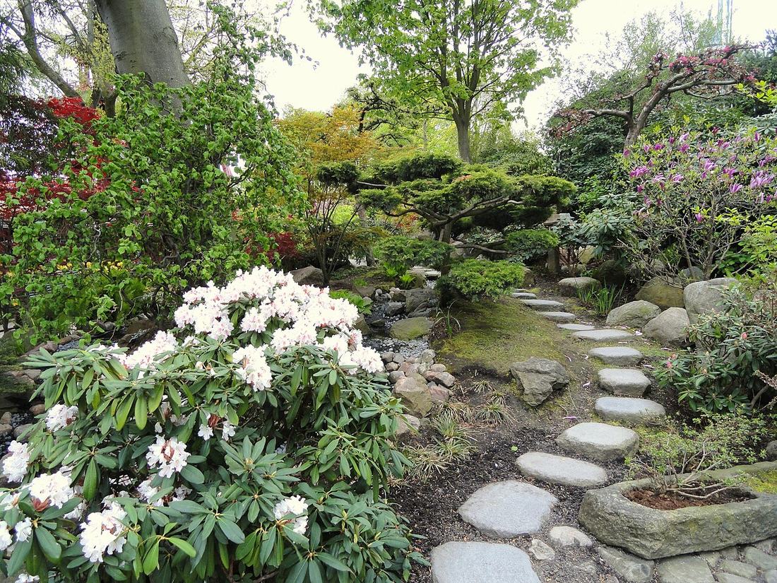 A garden path